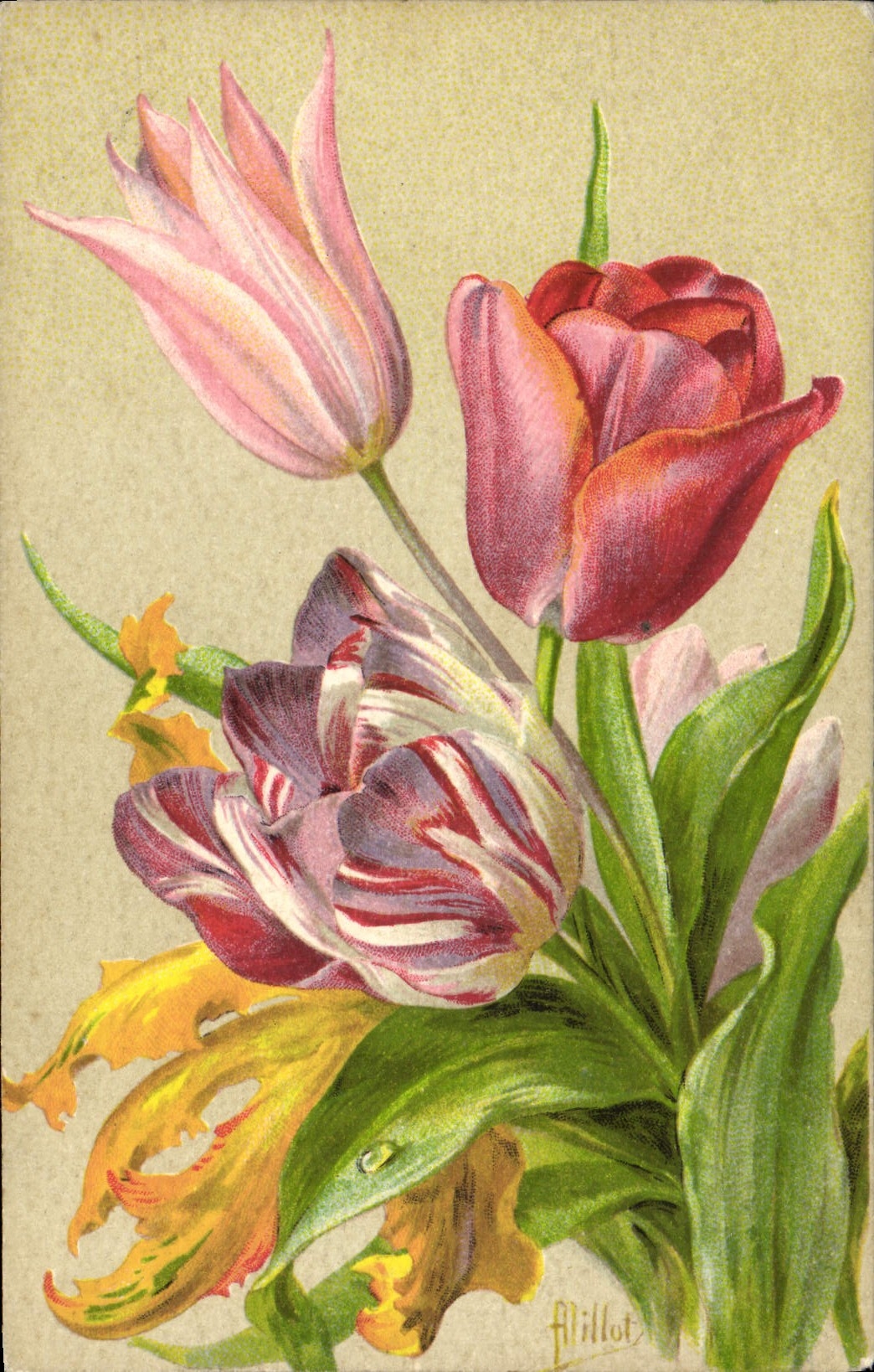 CPA Fantaisie Fleurs