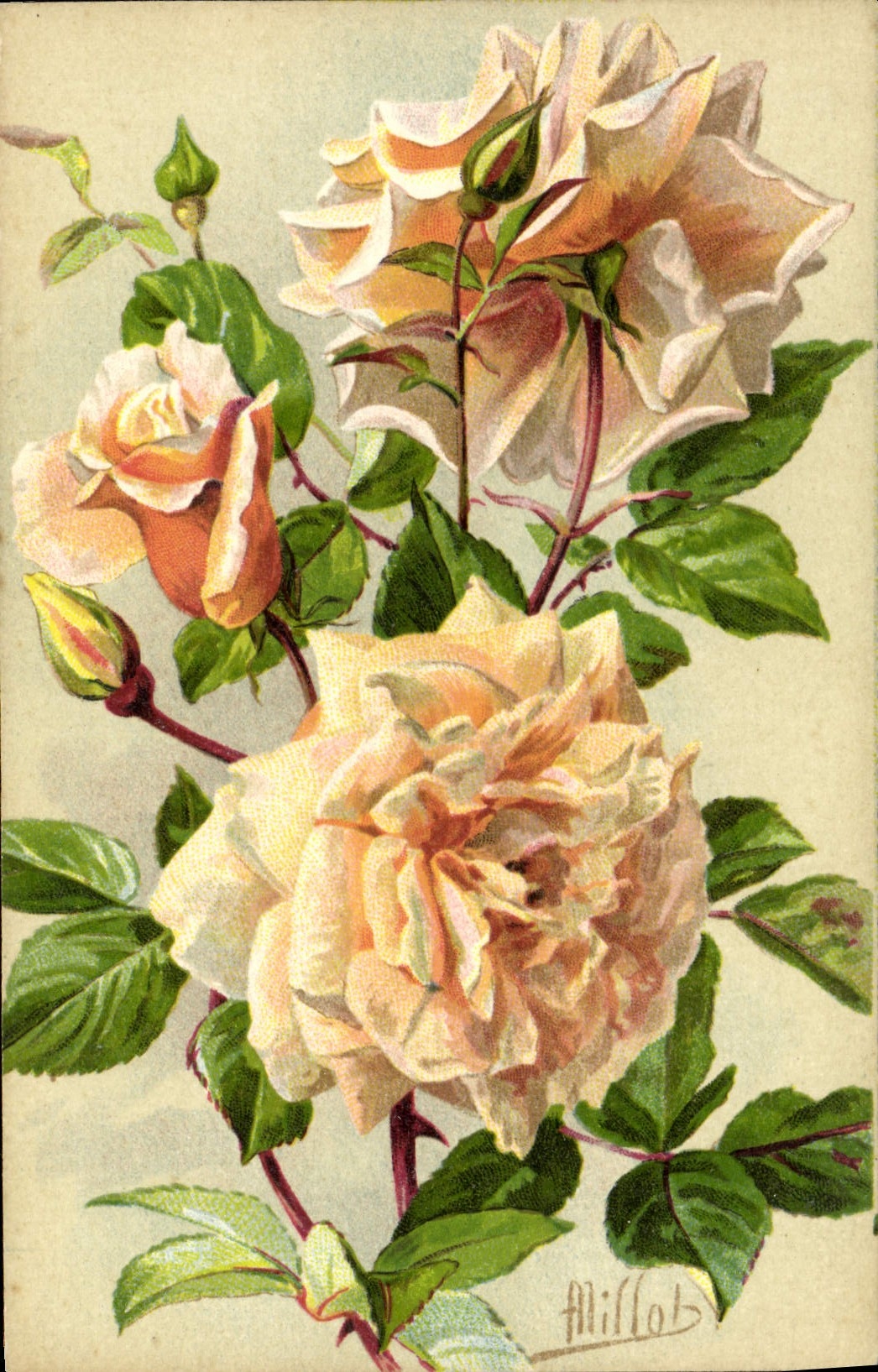 CPA Fantaisie Fleurs