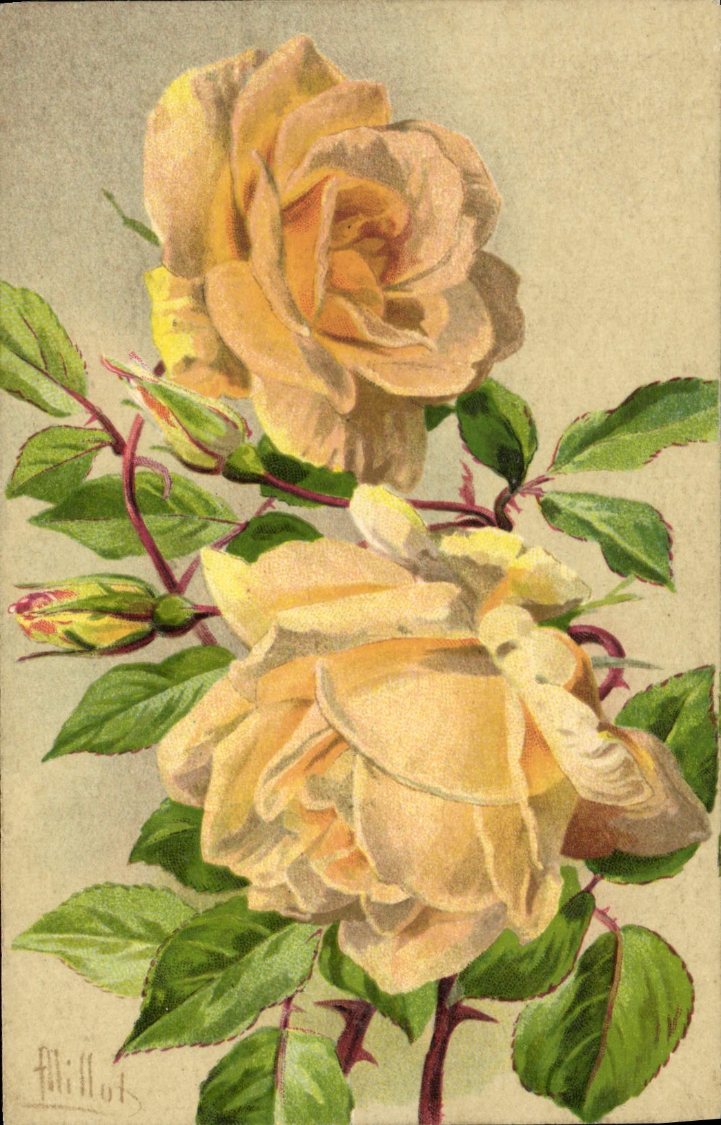 VINTAGE POSTCARD Fantasy Flowers Rose Hillingdon Lady