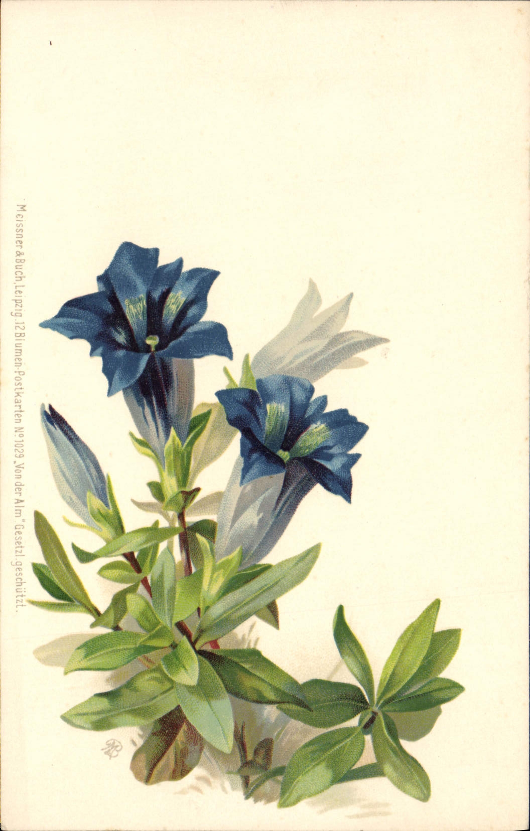 CPA Fantaisie Fleurs