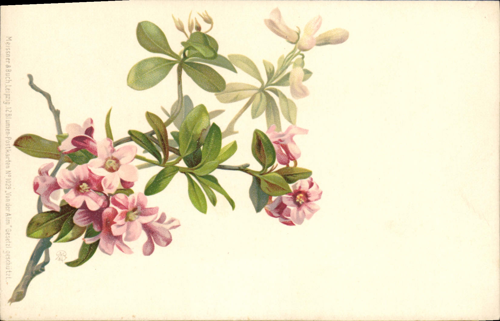 CPA Fantaisie Fleurs