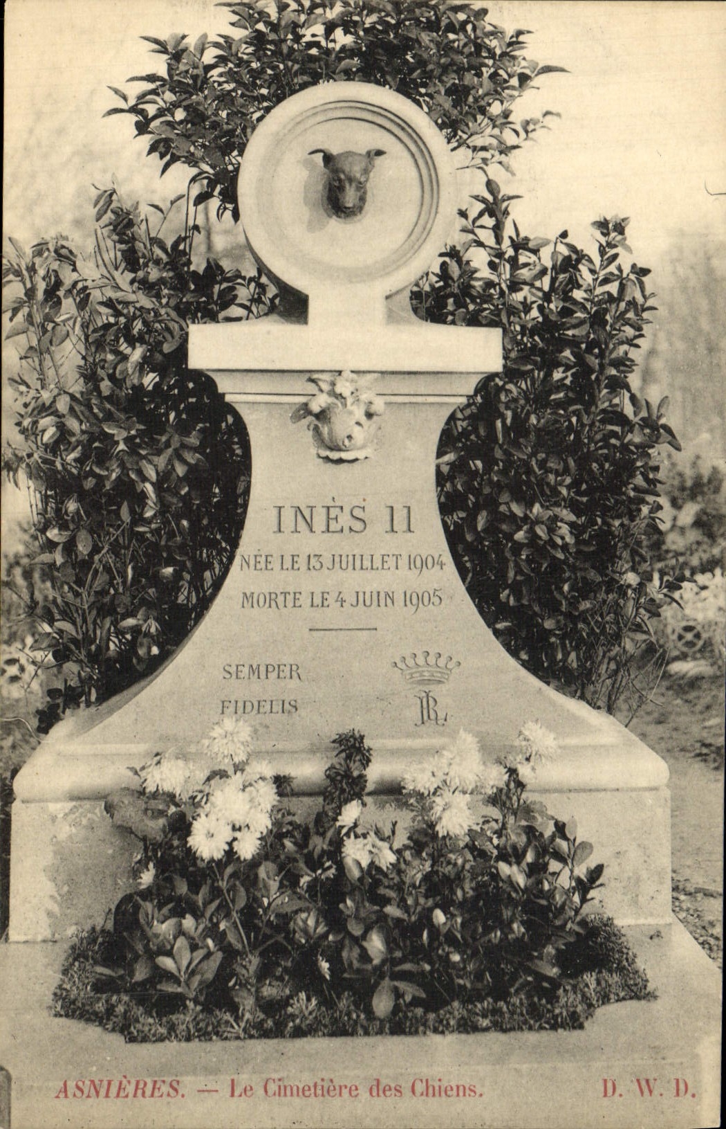 VINTAGE POSTCARD Asnieres the Cemetery Of the Innate Dogs II Dog