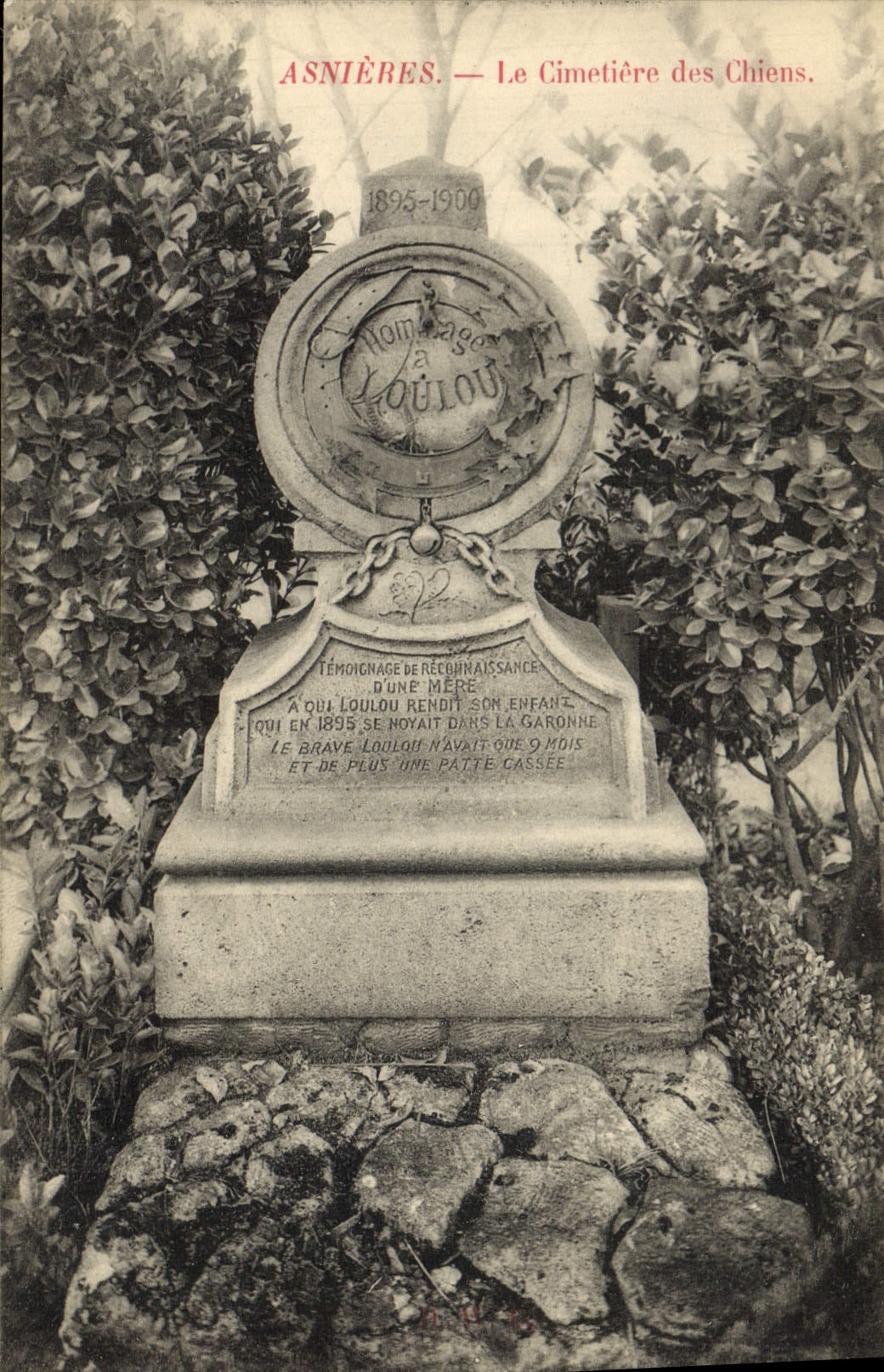 VINTAGE POSTCARD Asnieres the Cemetery Of the Dogs Spitz Dog