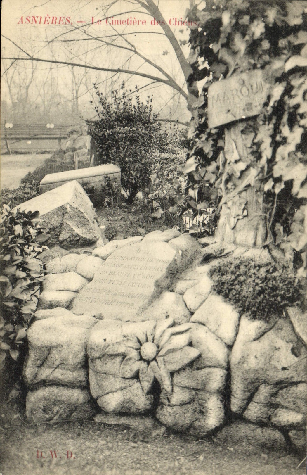 VINTAGE POSTCARD Asnieres the Cemetery Of the Dogs Marou Dog
