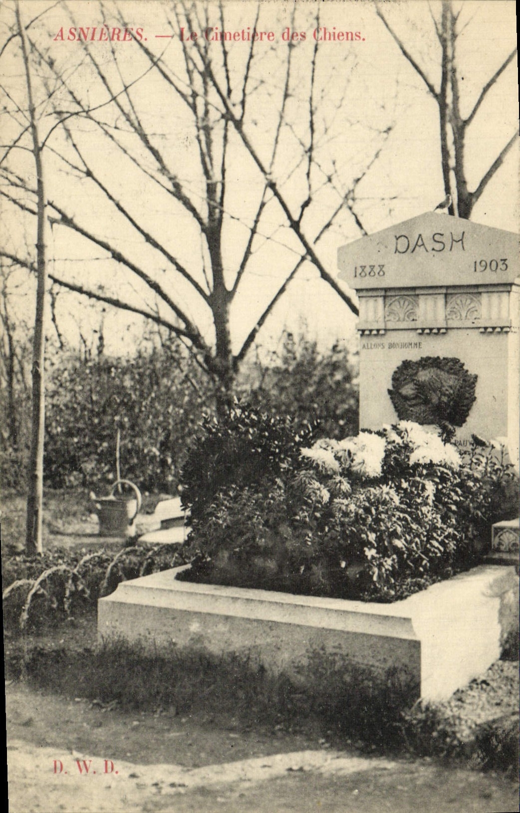 VINTAGE POSTCARD Asnieres the Cemetery Of the Dogs Dash Dog