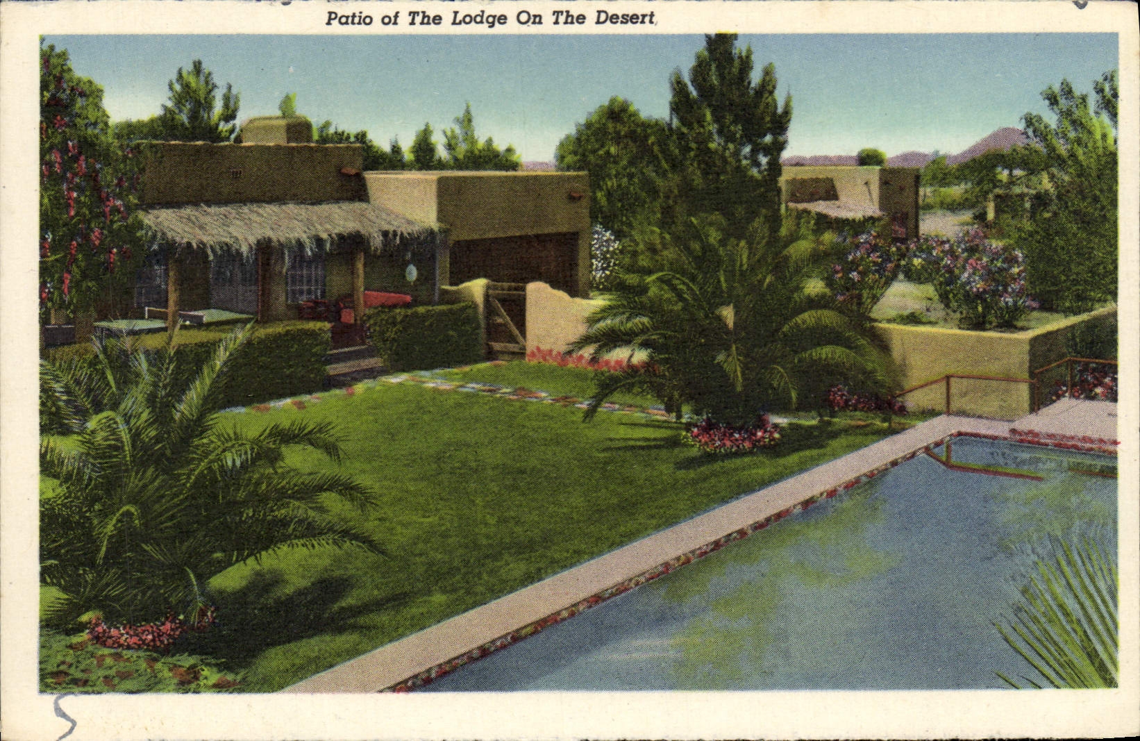 VINTAGE POSTCARD Patio Off The Lodge One The Serves off Bird' S eye view Tucson