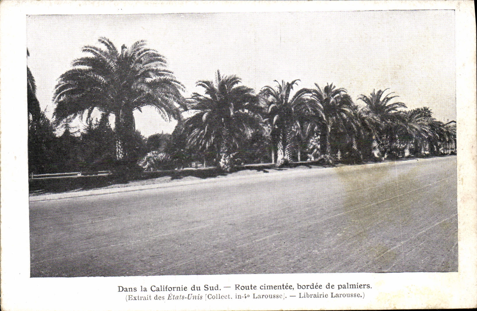 POSTAL de la VENDIMIA en California del camino del sur confinado de palmeras