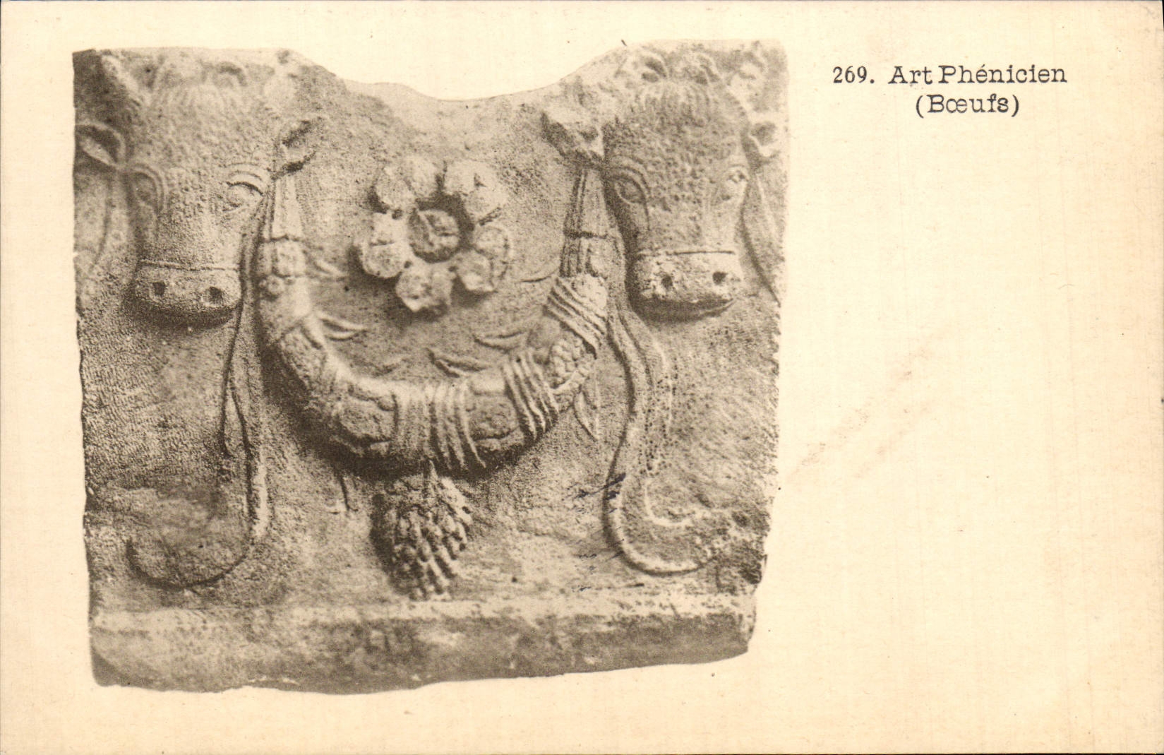 VINTAGE POSTCARD Art Phenicien Oxen