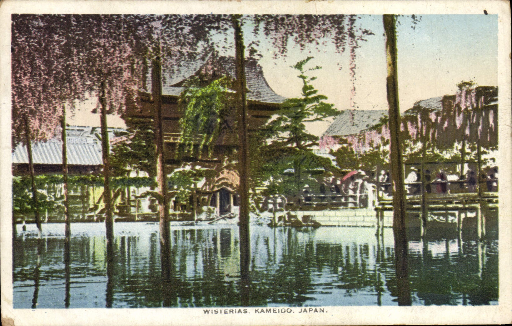 VINTAGE POSTCARD Wisterias Kameido Japan