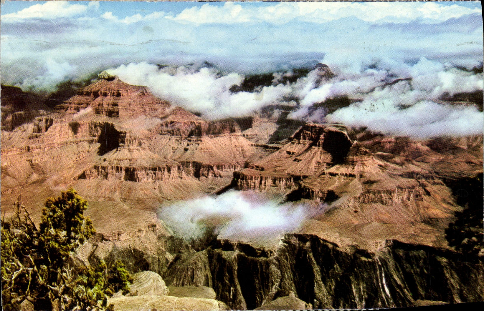 MODERN CARD Large national canyon Park