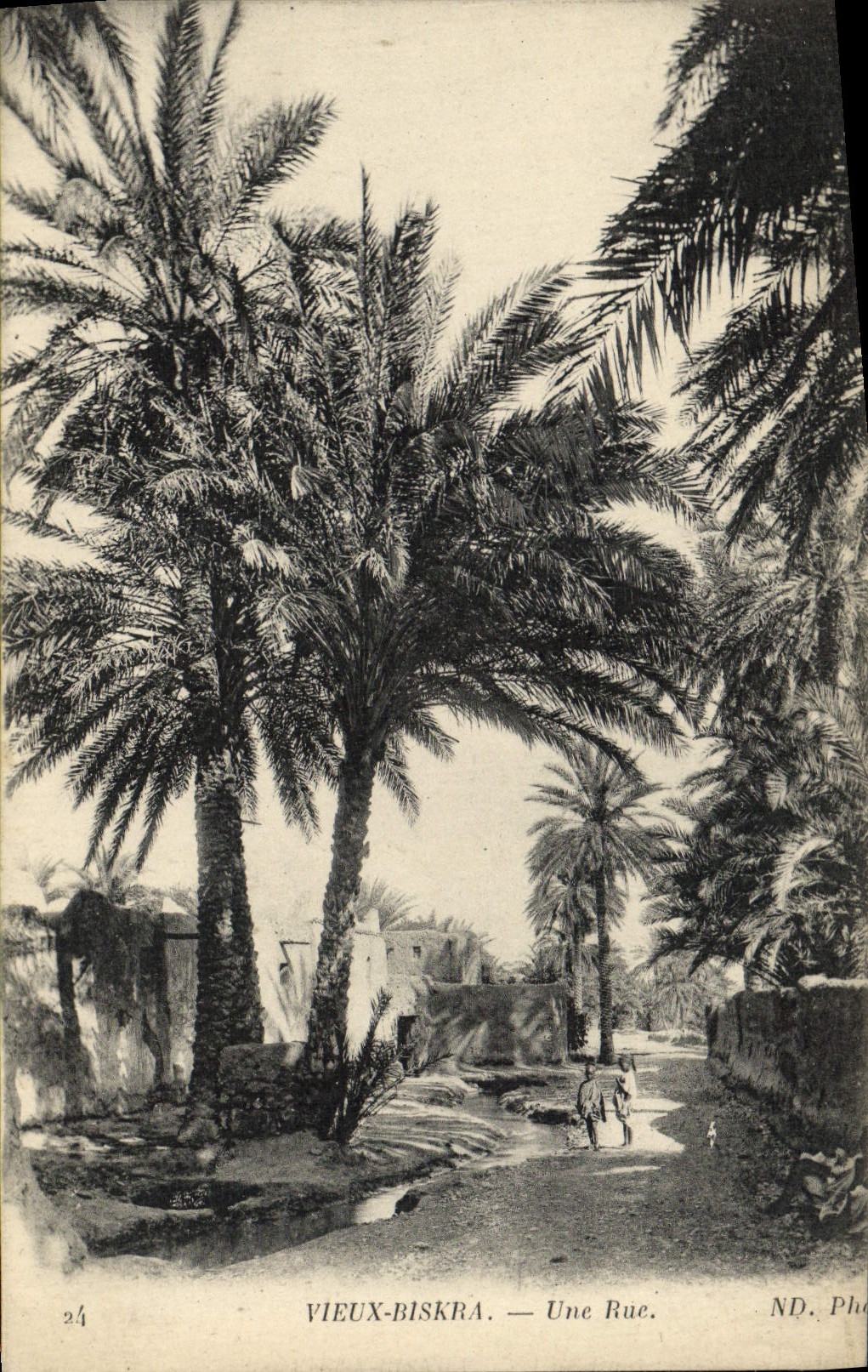 VINTAGE POSTCARD Old Biskra a Street