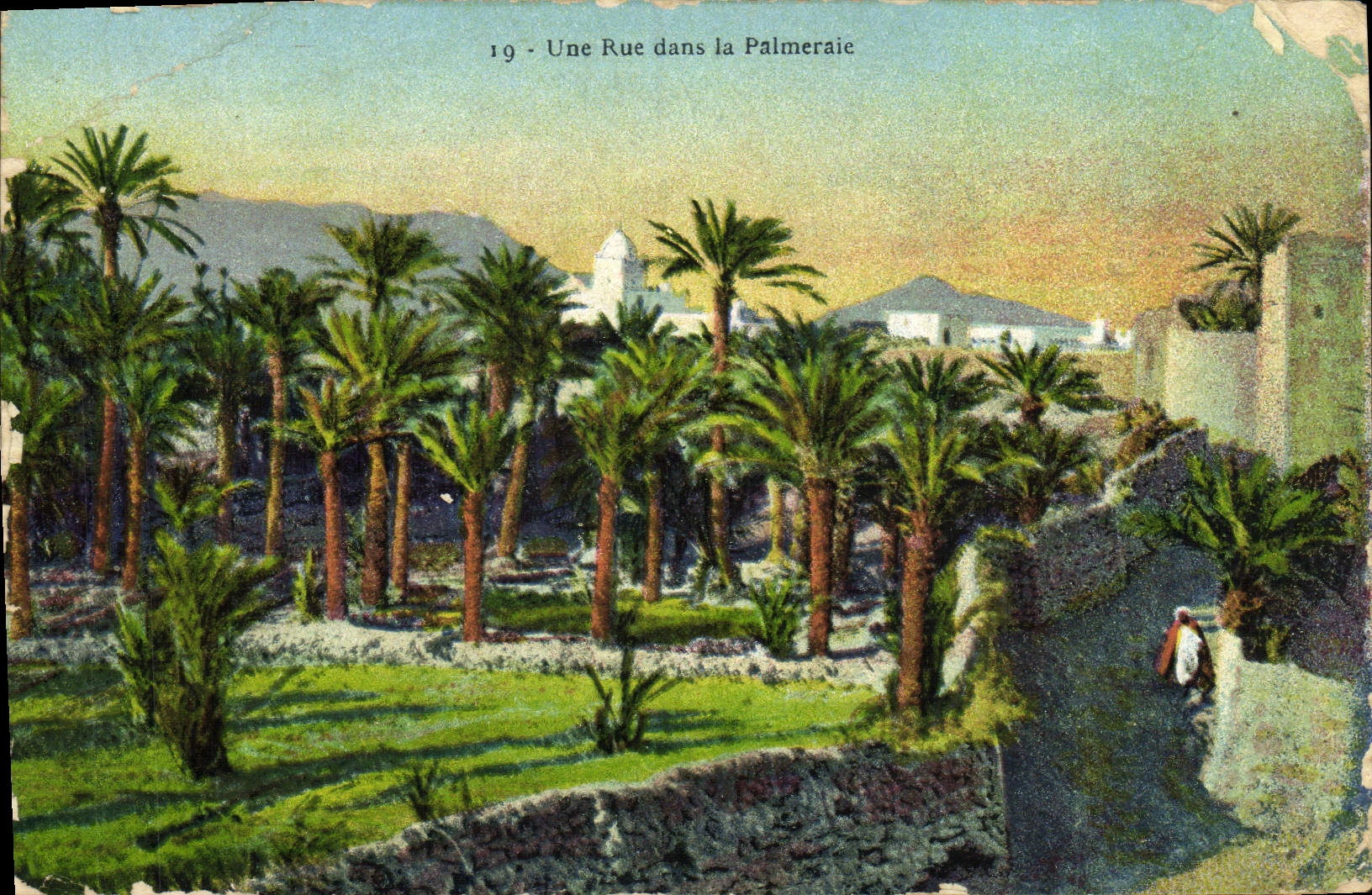 CPA Une Rue Dans La Palmeraie