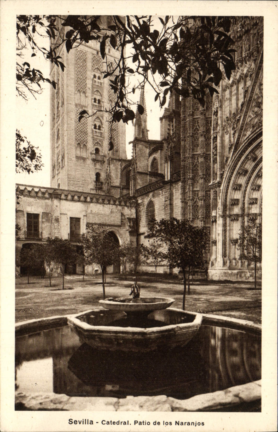 VINTAGE POSTCARD Sevilla Catedral Patio of los Naranjos