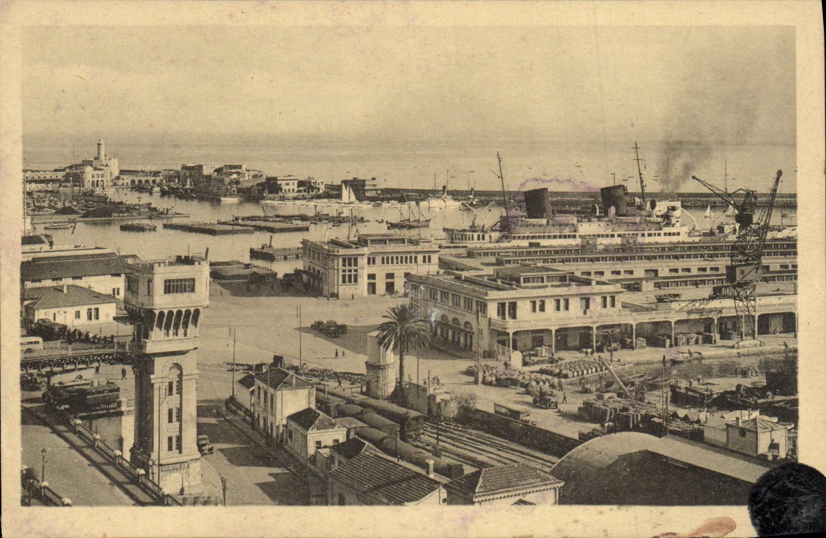 CPA Alger Les Gares Maritimes et les Batiments des Cies Transatlantique et Mixte Bateaux