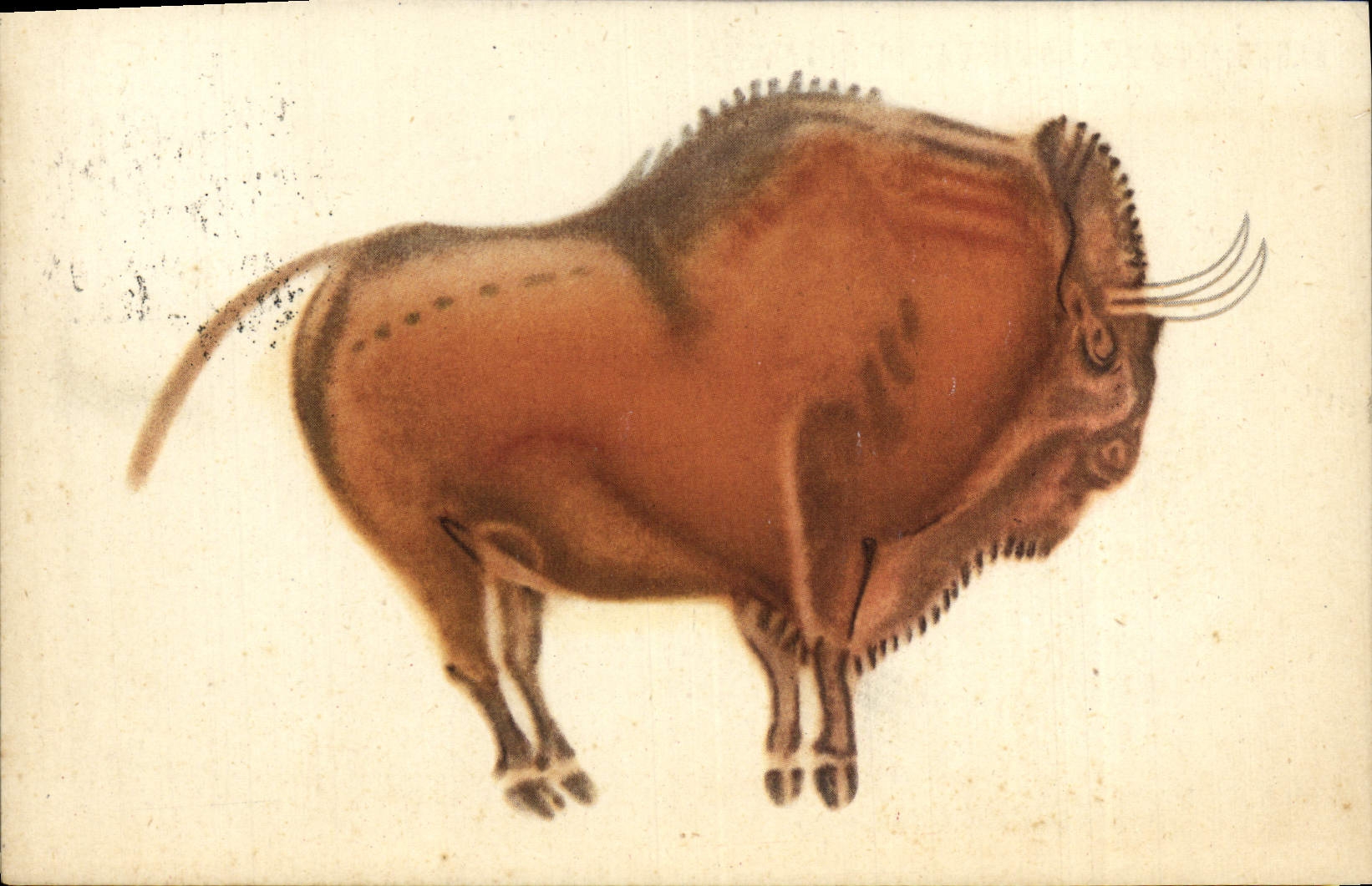 VINTAGE POSTCARD Patronato De Las Cuevas De Altamira Santander Bisonte parado