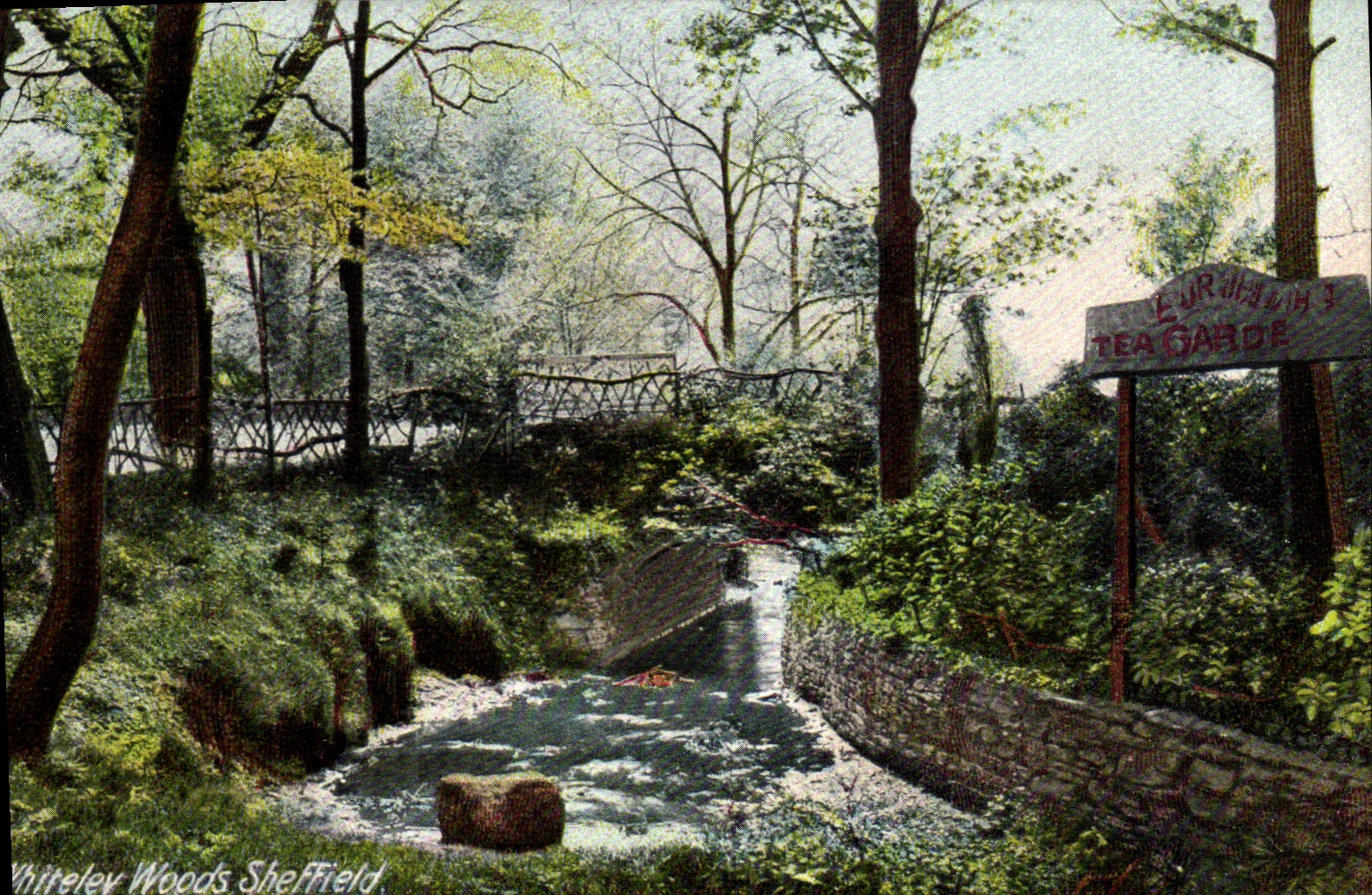 VINTAGE POSTCARD Whiteley Woods Sheffield