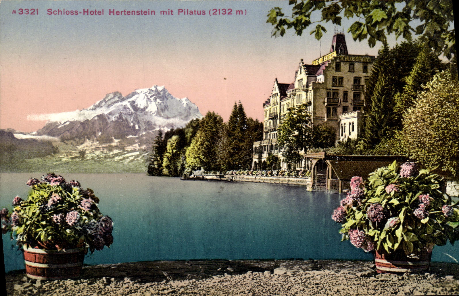 CPA Schloss Hotel Hertenstein Mit Pilatus