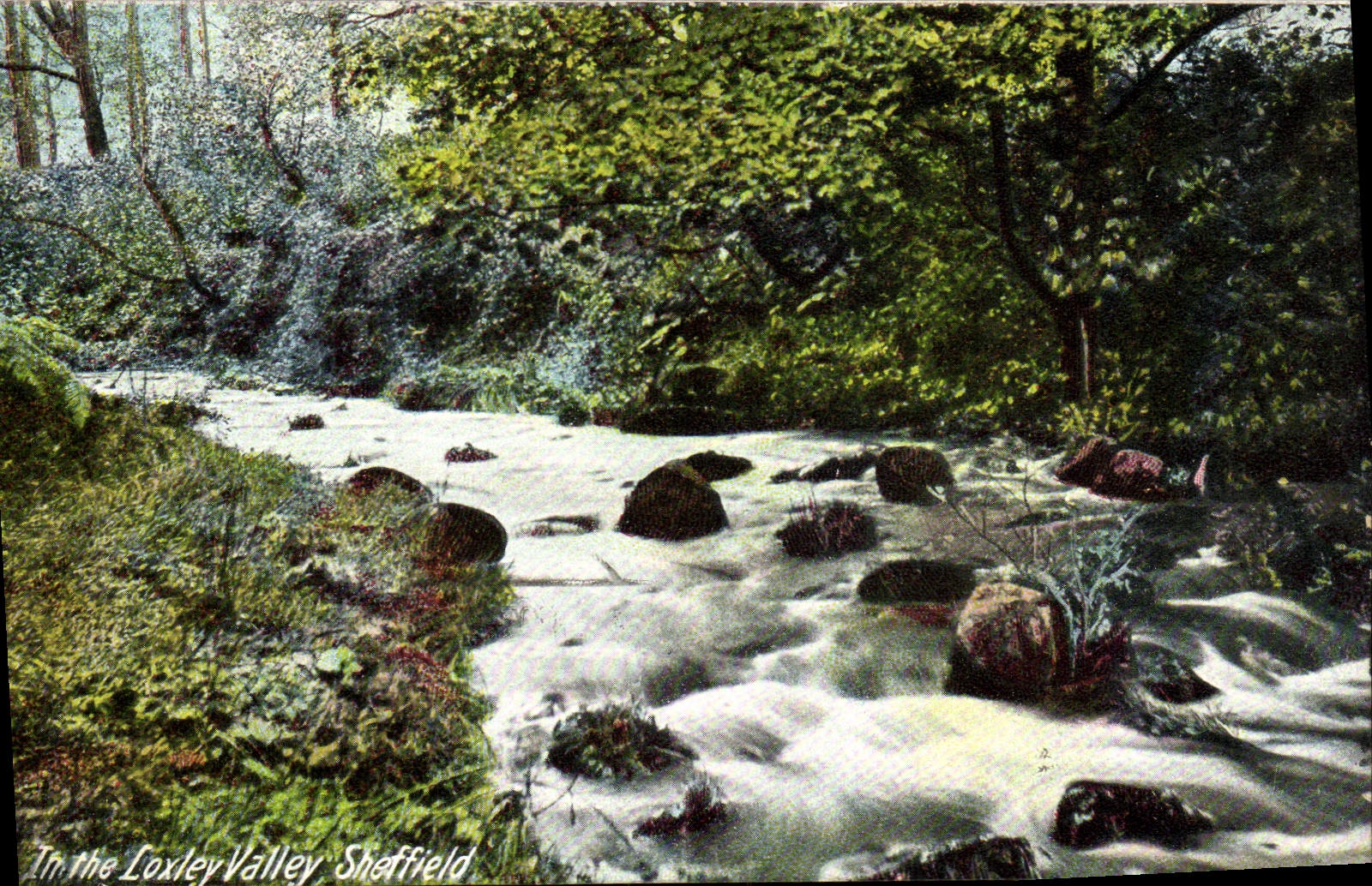 VINTAGE POSTCARD In The Loxley Valley Sheffietd