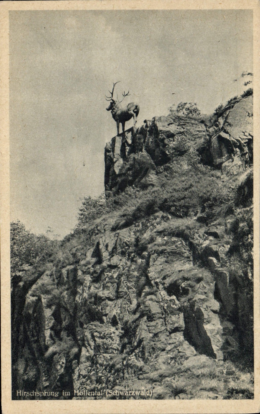 VINTAGE POSTCARD Hirschsprung Im Hollenfal Schwarzwald Stag