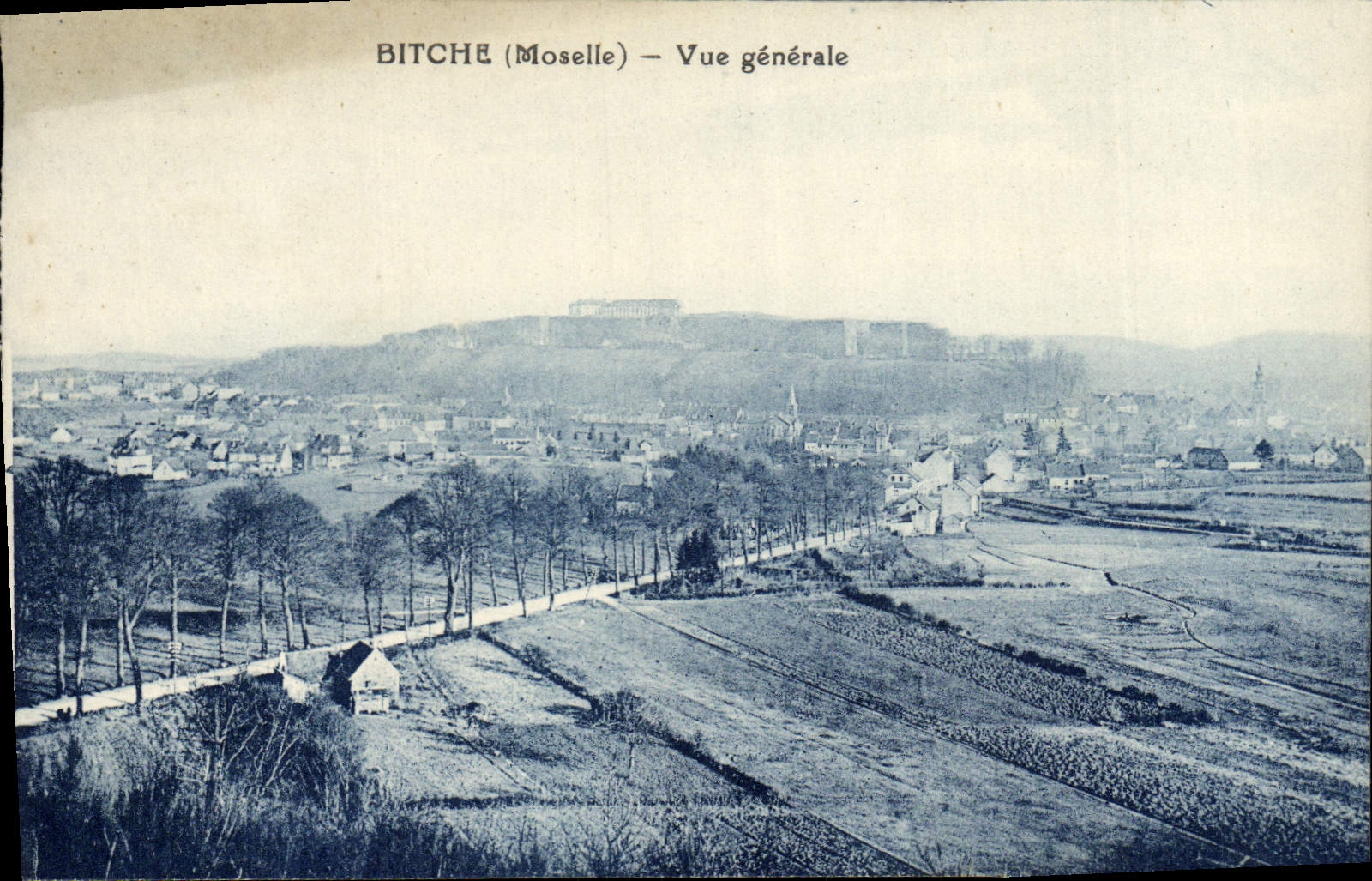 VINTAGE POSTCARD Bitche View