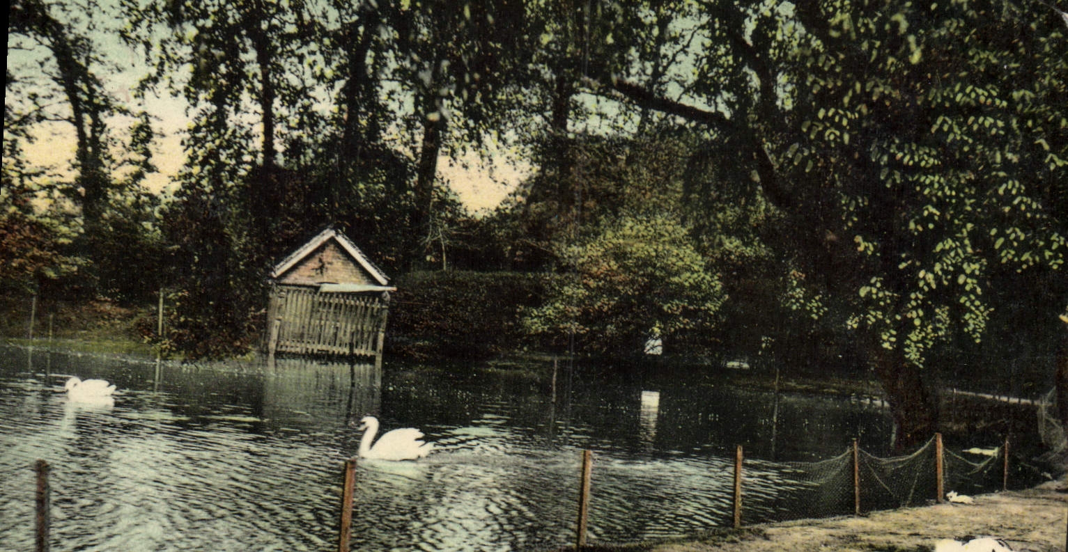 VINTAGE POSTCARD Birmingham The duck lays