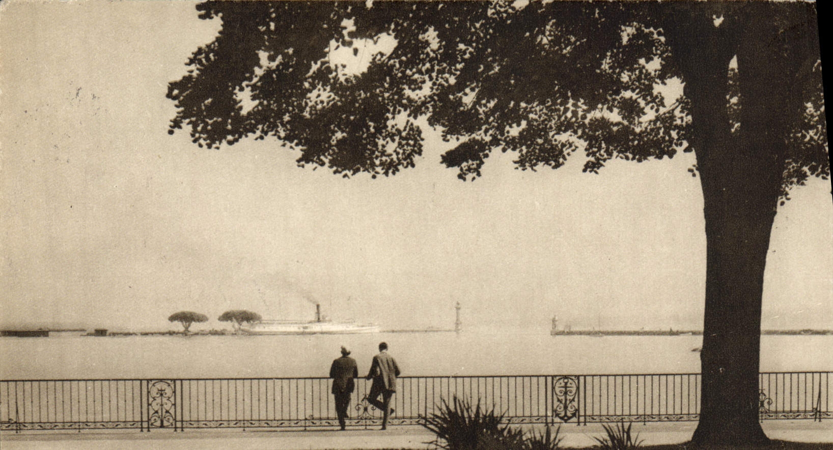 VINTAGE POSTCARD Geneva Walk of the English garden and the roads