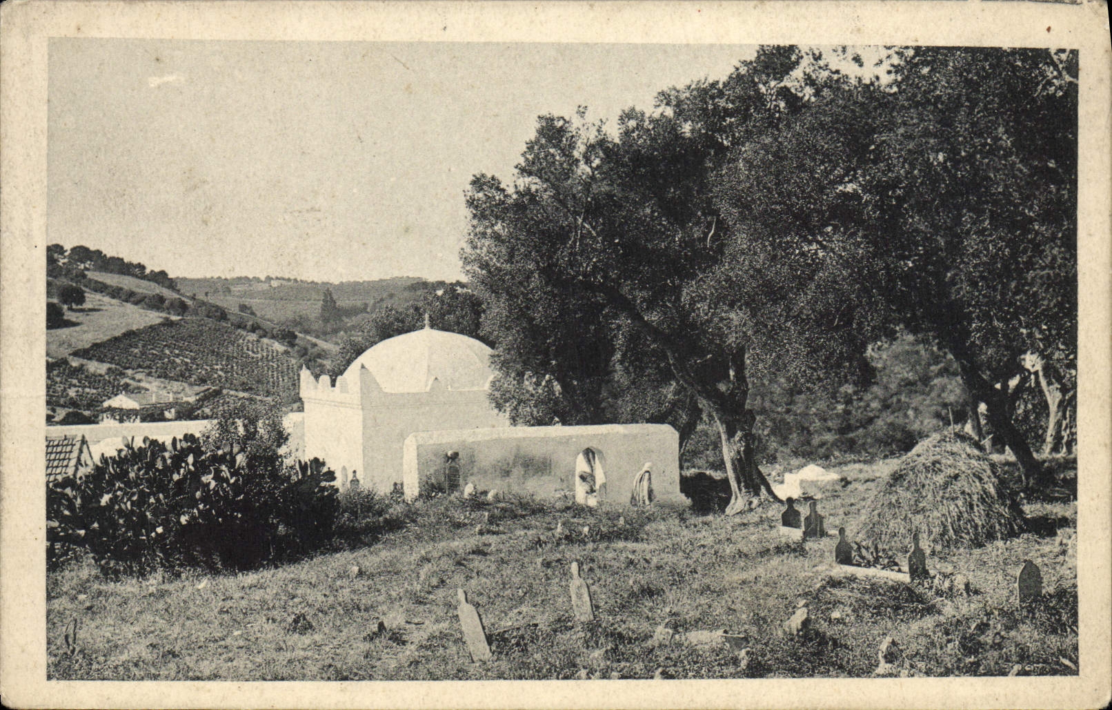 VINTAGE POSTCARD Algeria Cemetery