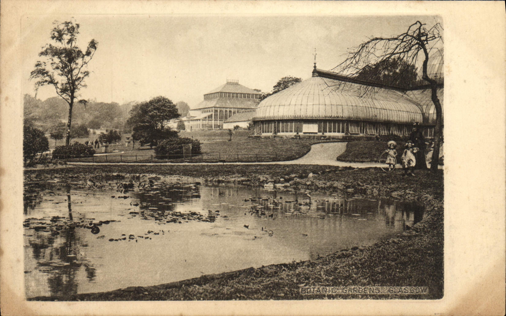 VINTAGE POSTCARD Glasgow Botanical gardens