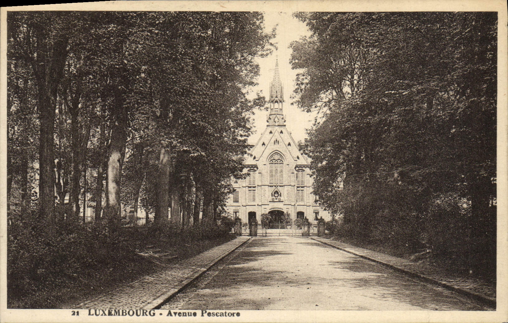 CPA Luxembourg Avenue Pescatore