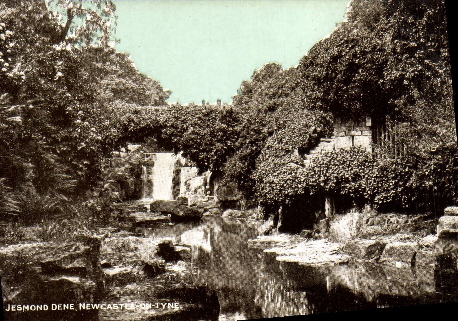 VINTAGE POSTCARD Jesmond Dene Newcastle One the Tyne