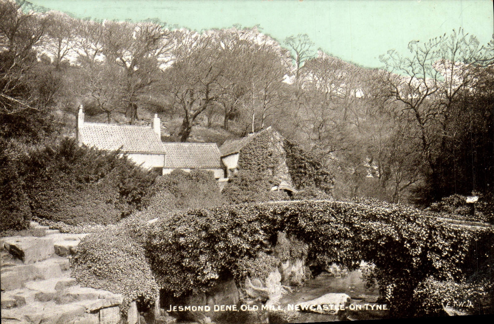 VINTAGE POSTCARD Jesmond Dene Old Newcastle Millet One the Tyne