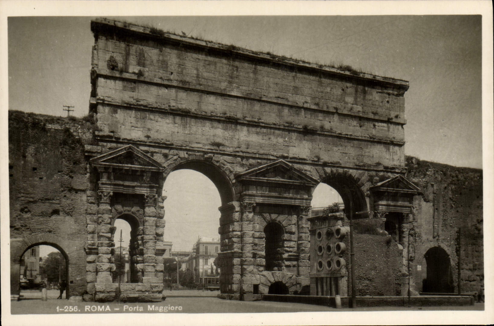 POSTAL Maggioro llevado Roma de la VENDIMIA