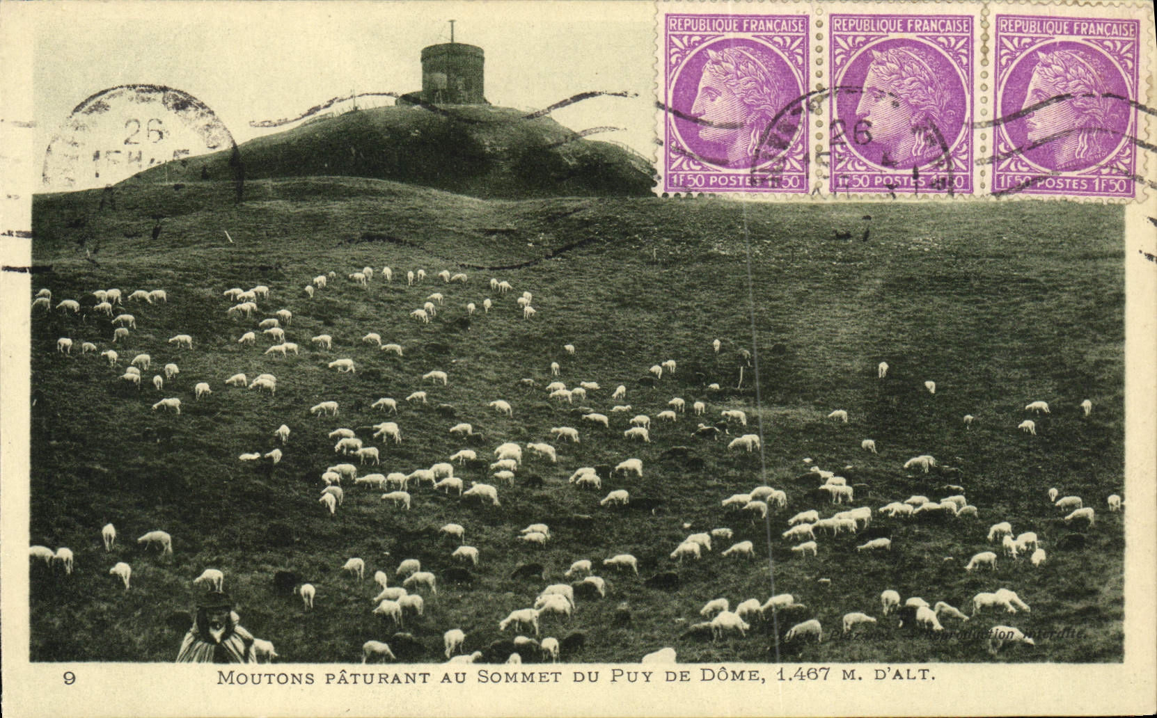 VINTAGE POSTCARD Sheep Grazing At the Top Of Puy De Dome