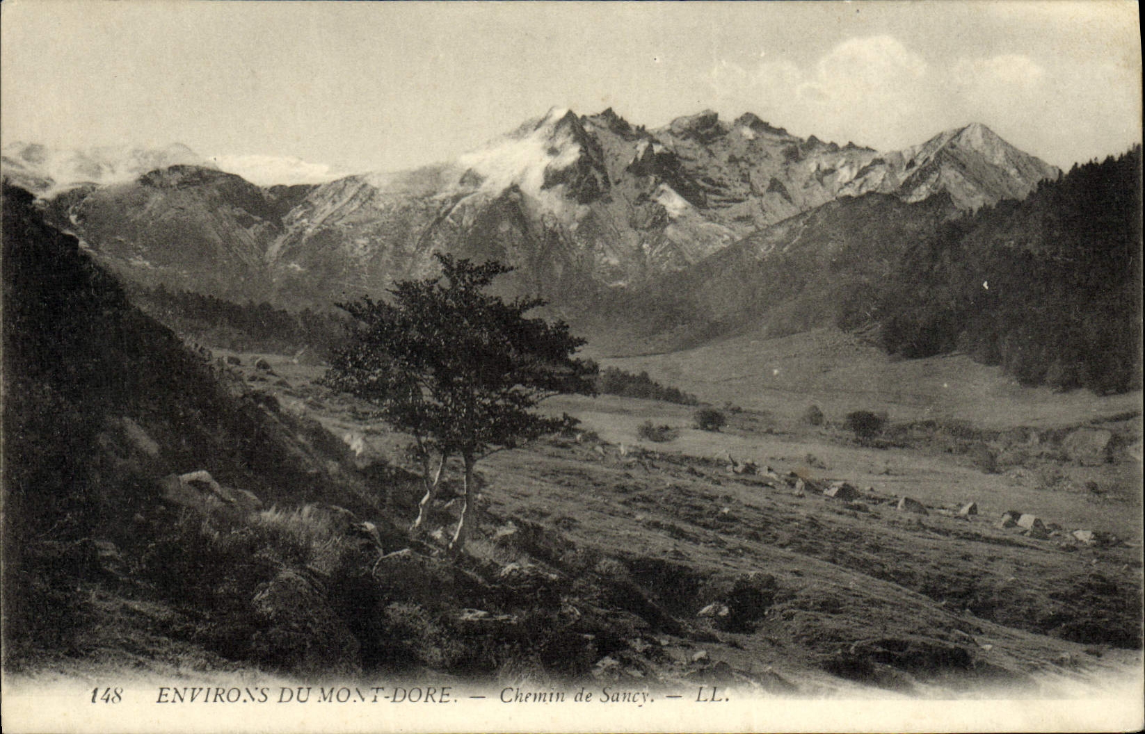 CPA Environs Du Mont Dore Chemin De Sancy