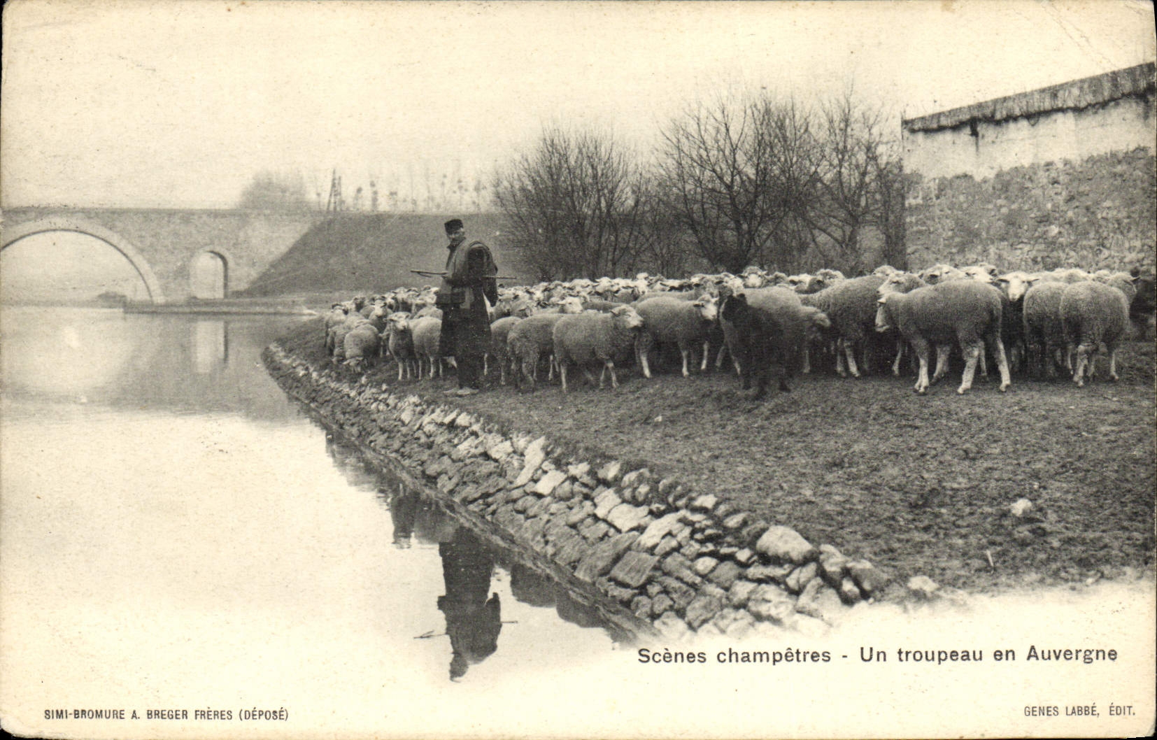 CPA Scenes Champetres Un Troupeau En Auvergne Berger Moutons