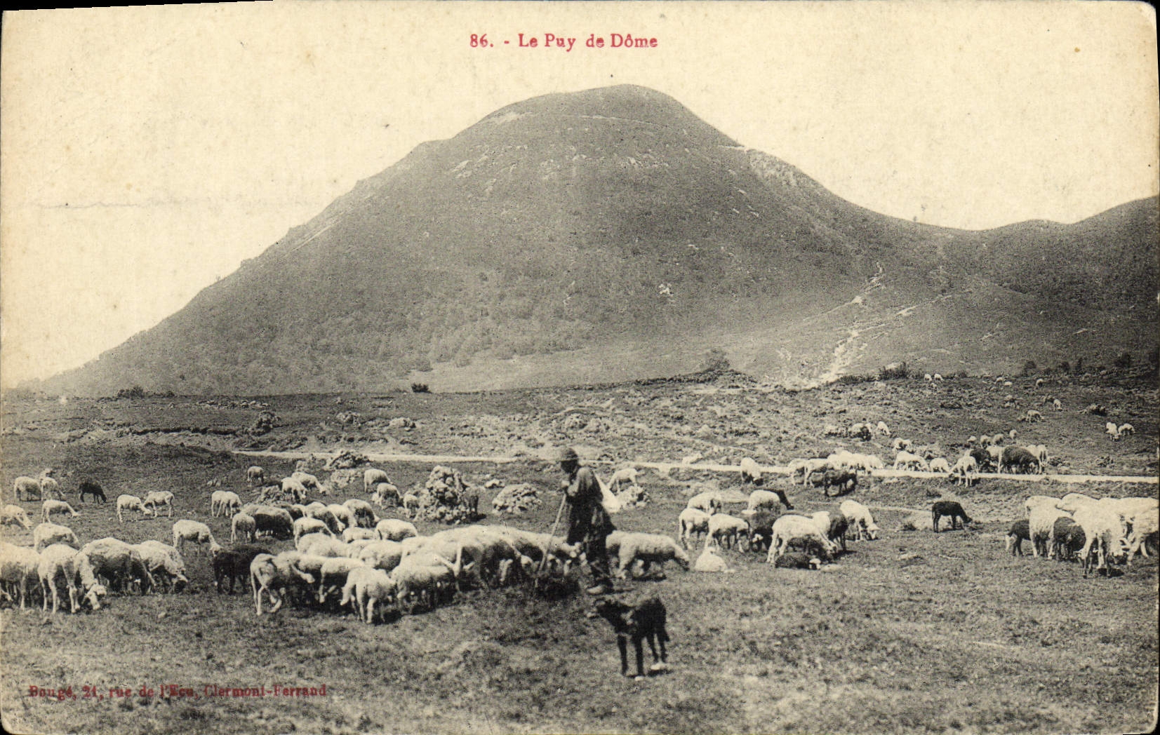 CPA Le Puy De Dome Berger Moutons