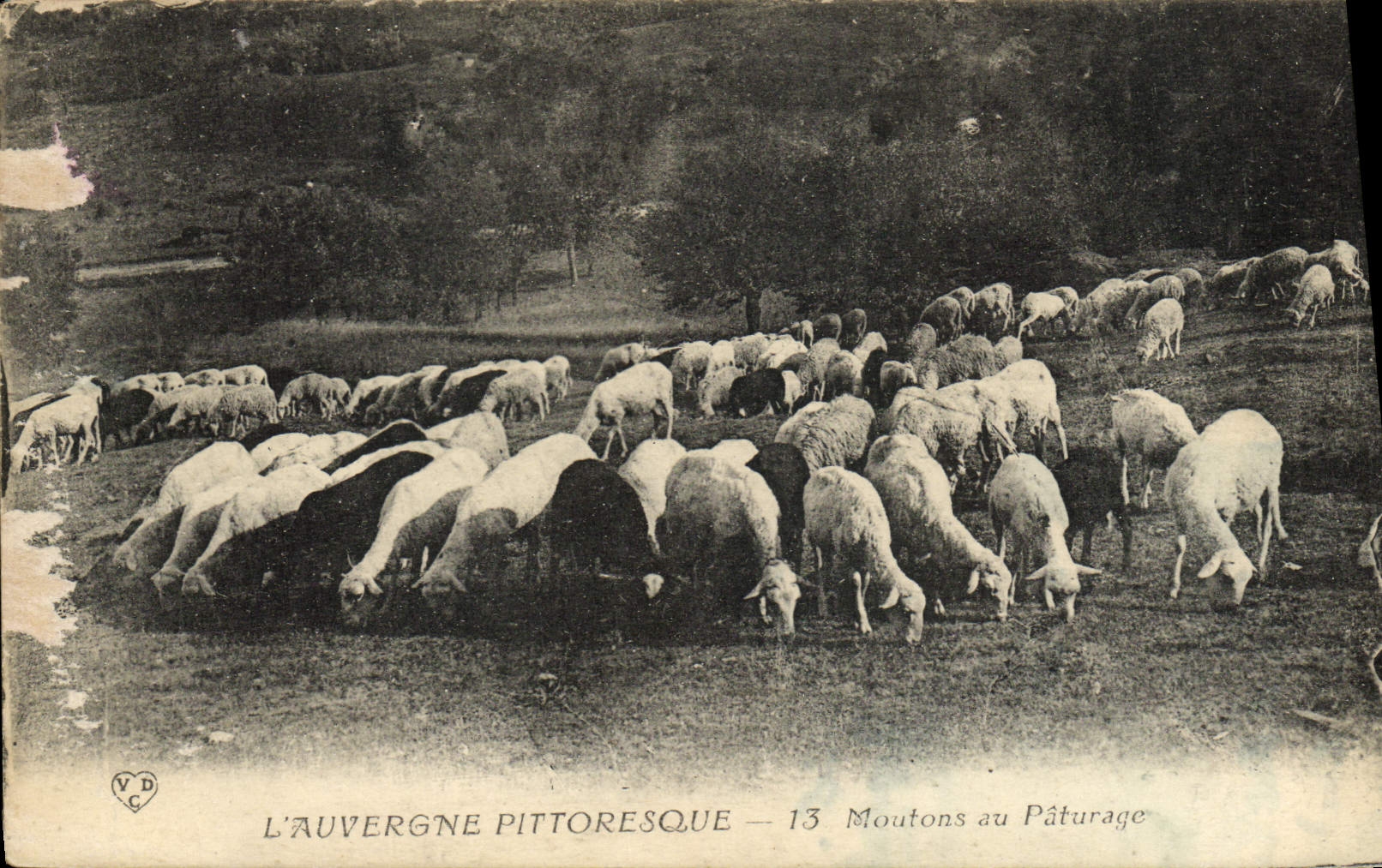 CPA L'Auvergne Pittoresque Monument Au Paturage