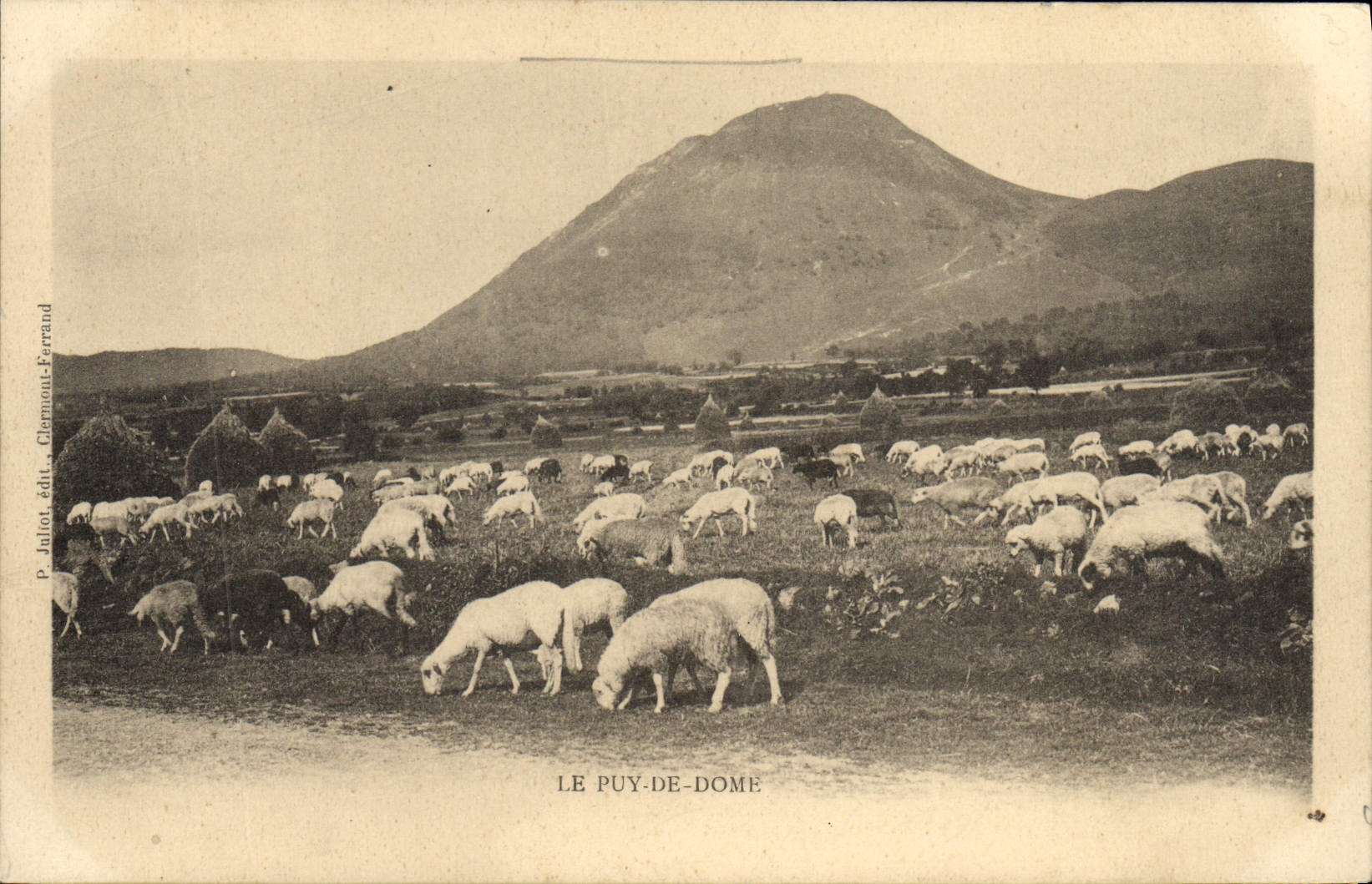 CPA Le Puy De Dome Moutons
