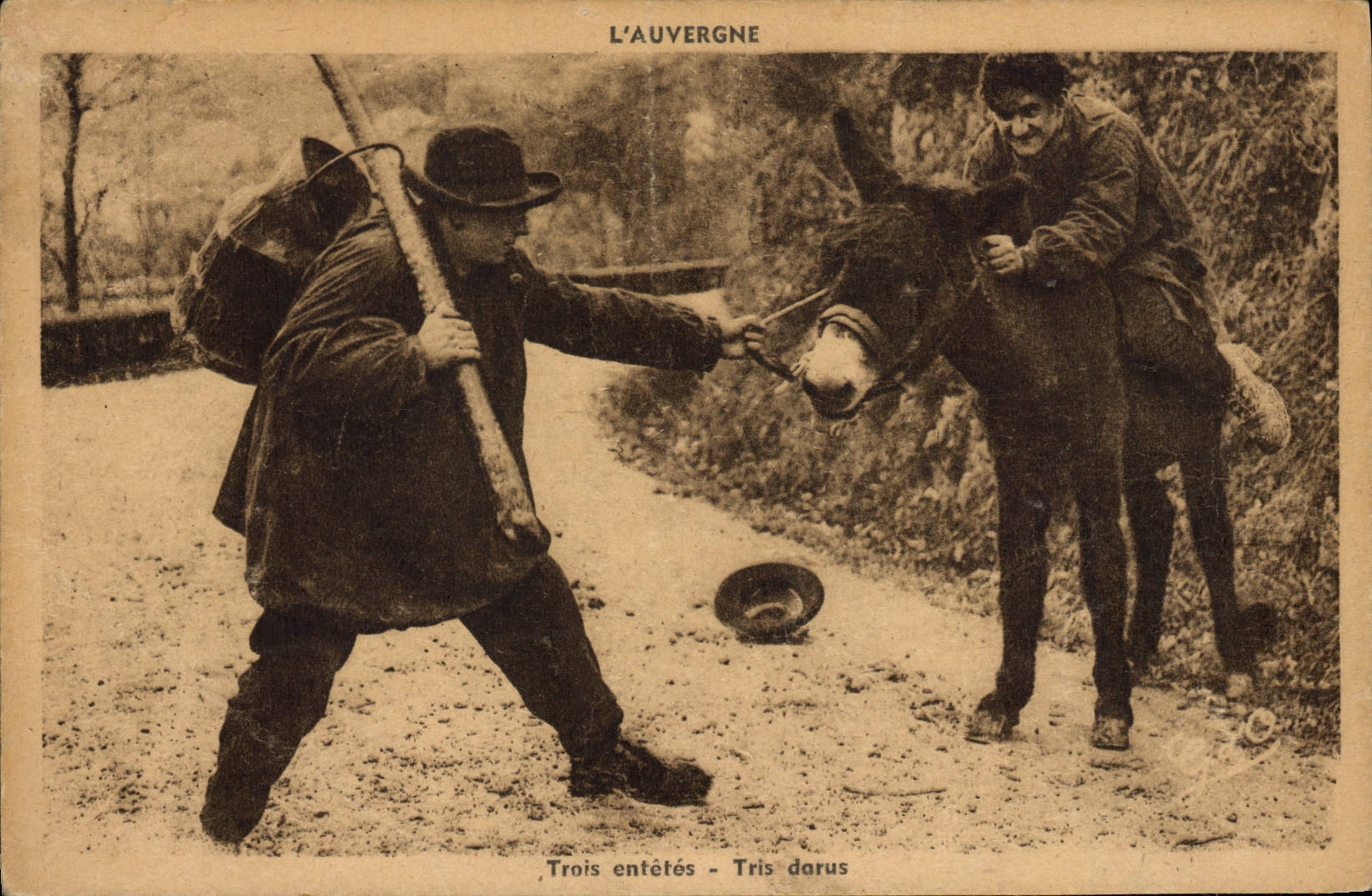 CPA L'Auvergne Trois Entetes Tris Dorus Anes