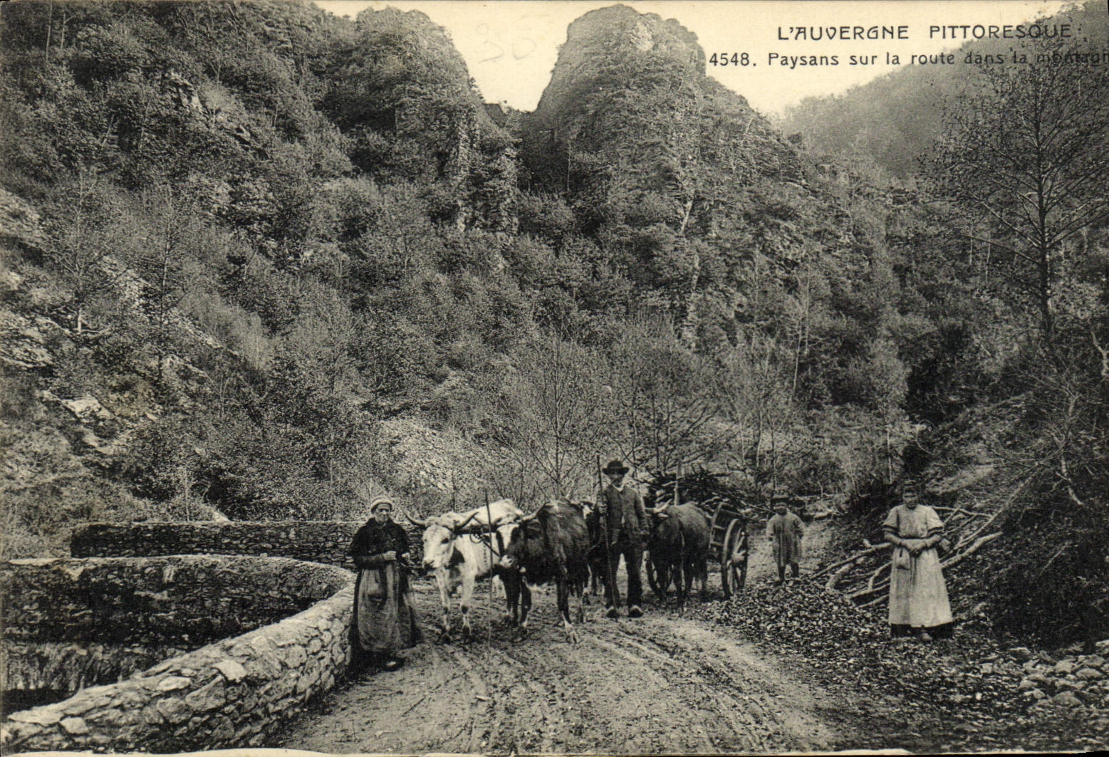 VINTAGE POSTCARD Picturesque Auvergne Peasants on the Road in the mountain Cows Oxen Coach TOP