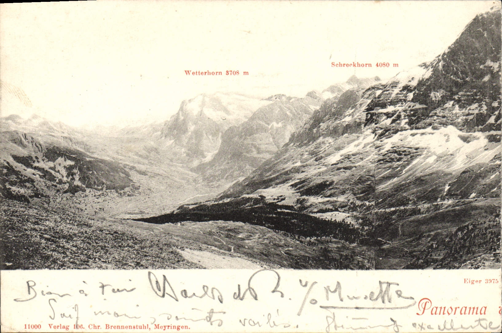 VINTAGE POSTCARD Panorama