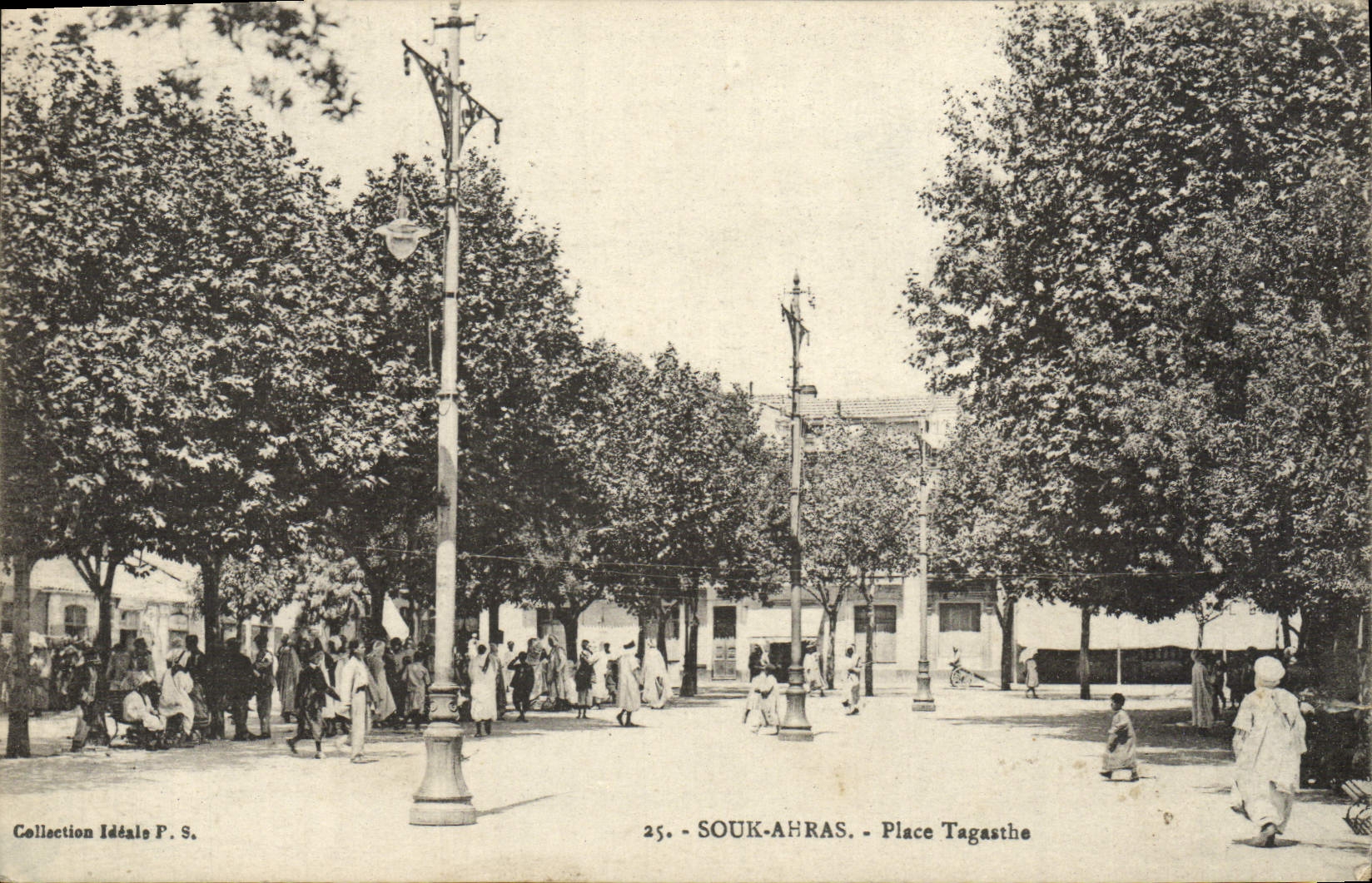 VINTAGE POSTCARD Souk Ahras Places Tagasthe
