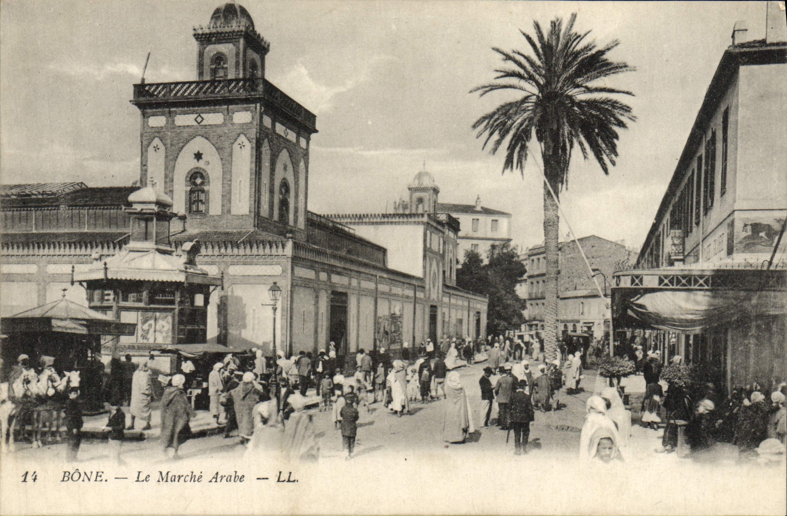 rabe del mercado del hueso de la POSTAL de la VENDIMIA