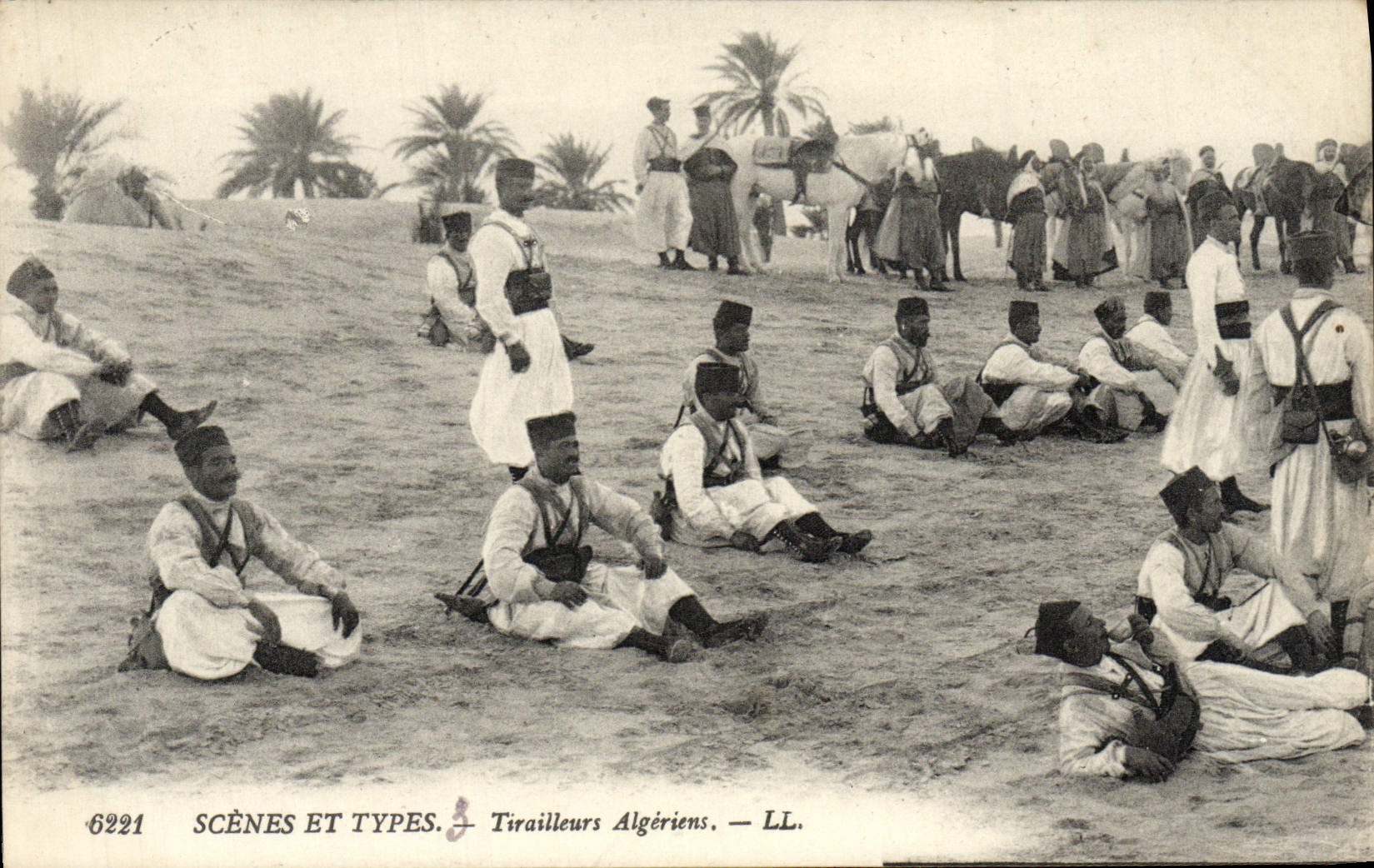 VINTAGE POSTCARD Scenes And Standard Algerian Riflemen Militaria