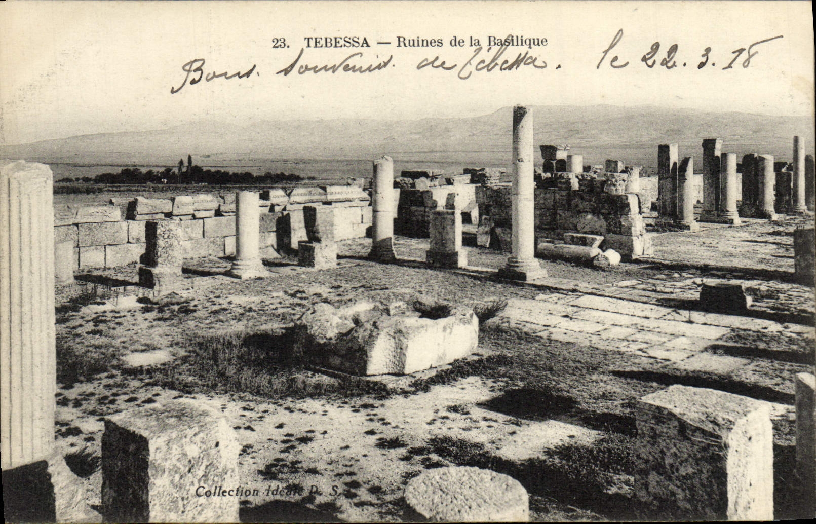 VINTAGE POSTCARD Tebessa Ruins of the Basilica