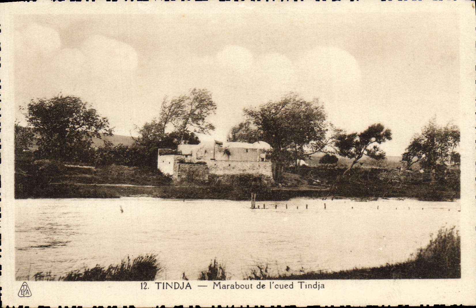 VINTAGE POSTCARD Tindja Marabout of the Tindja Wadi