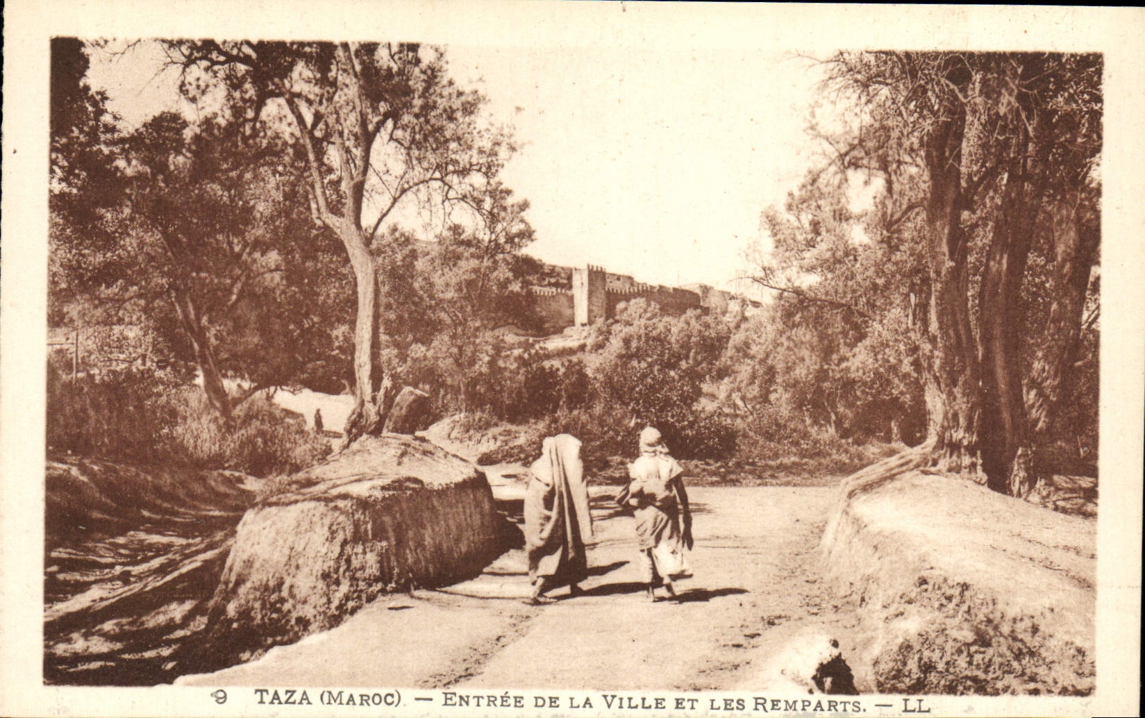 CPA Taza Entree De La Ville Et Les Remparts
