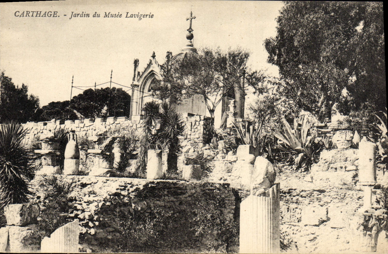 VINTAGE POSTCARD Carthage Garden of the Lavigerie Museum