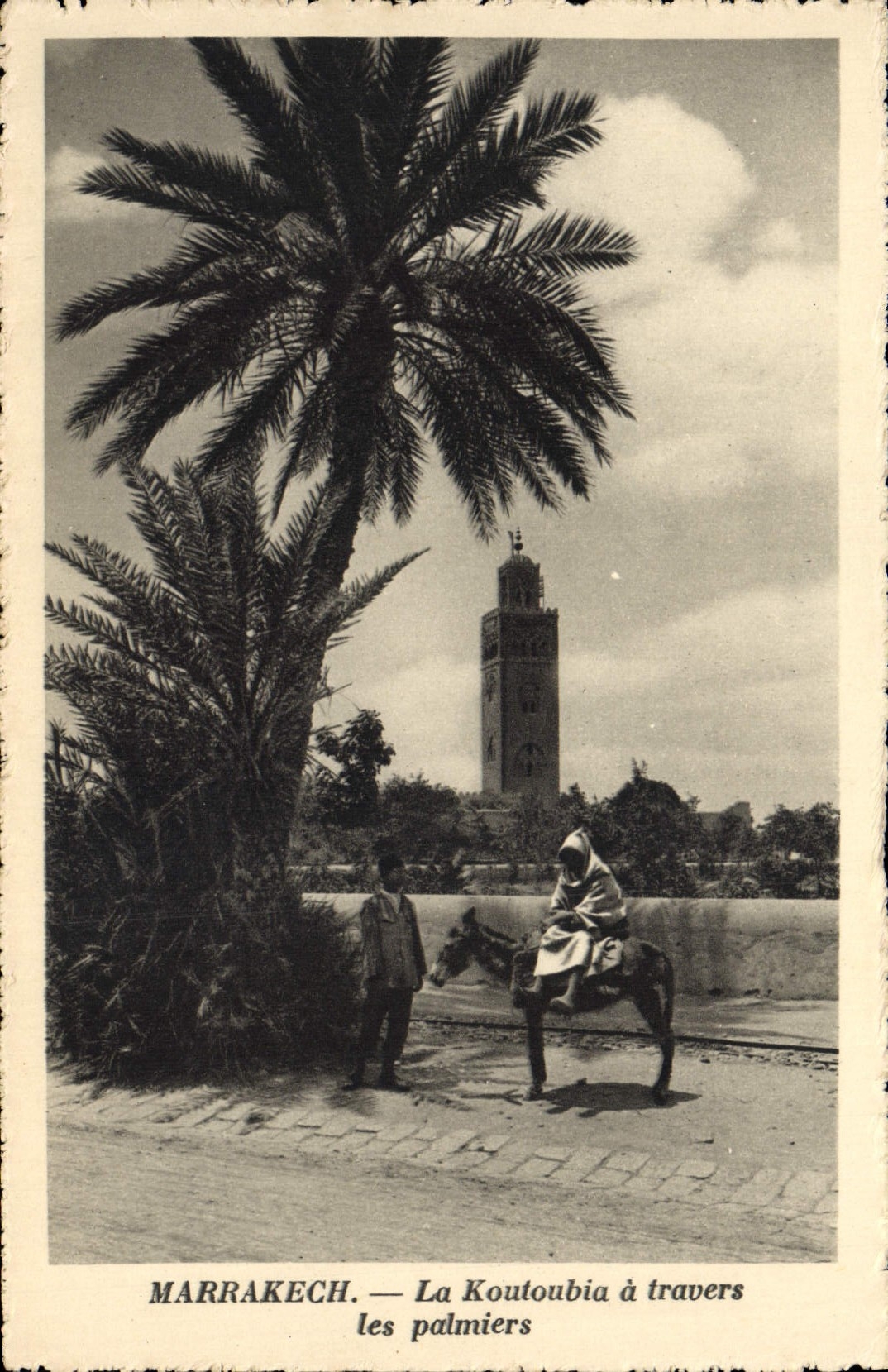 VINTAGE POSTCARD Marrakech Koutoubia through the Palm trees