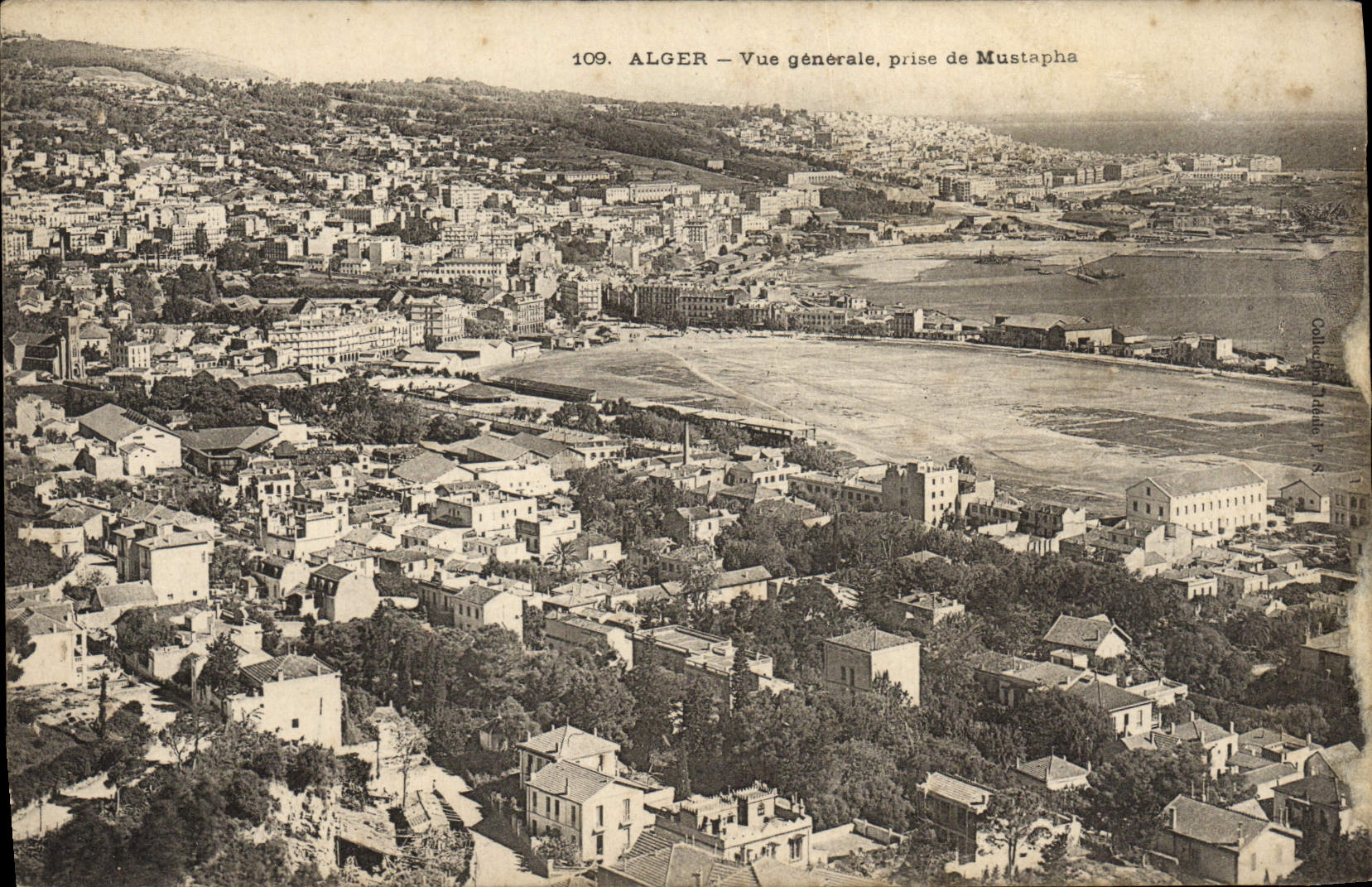 Opinión de Argel de la POSTAL de la VENDIMIA tomada de Mustafá